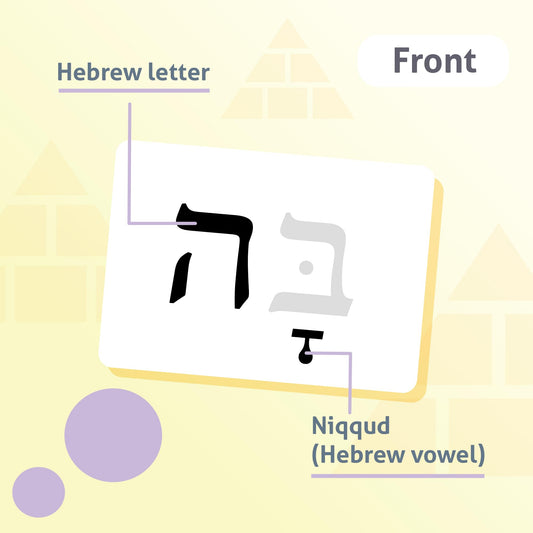 CARDDIA Hebrew flashcards back view shows names, stroke order, and transliteration for reference