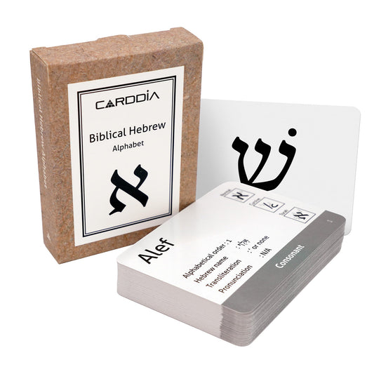 CARDDIA Biblical Hebrew flashcards front design aids quick letter recognition during study