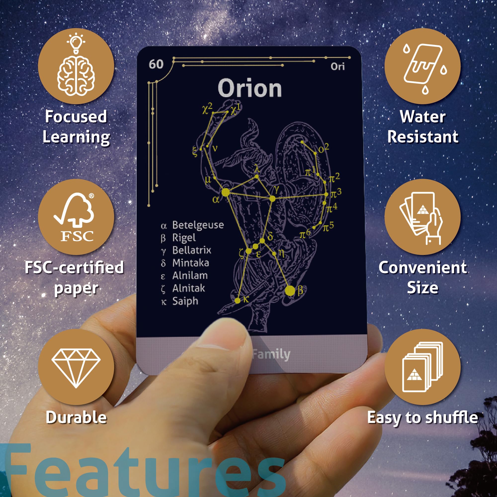 CARDDIA durable water-resistant paper for long-lasting flashcards