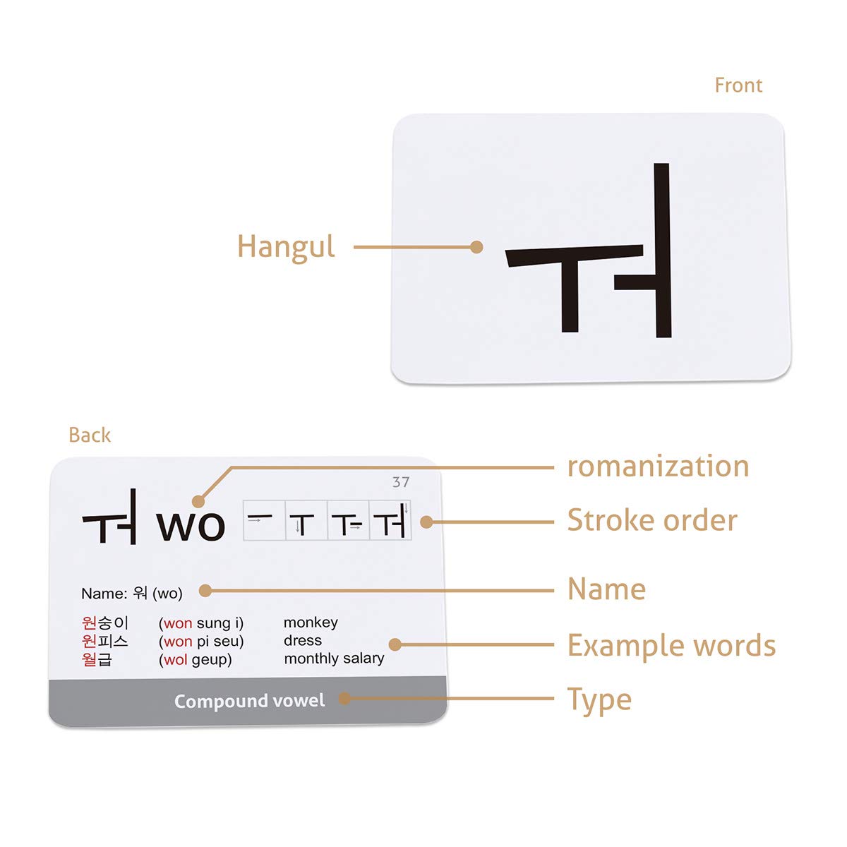 CARDDIA compact portable flashcards ideal for study at home or class.