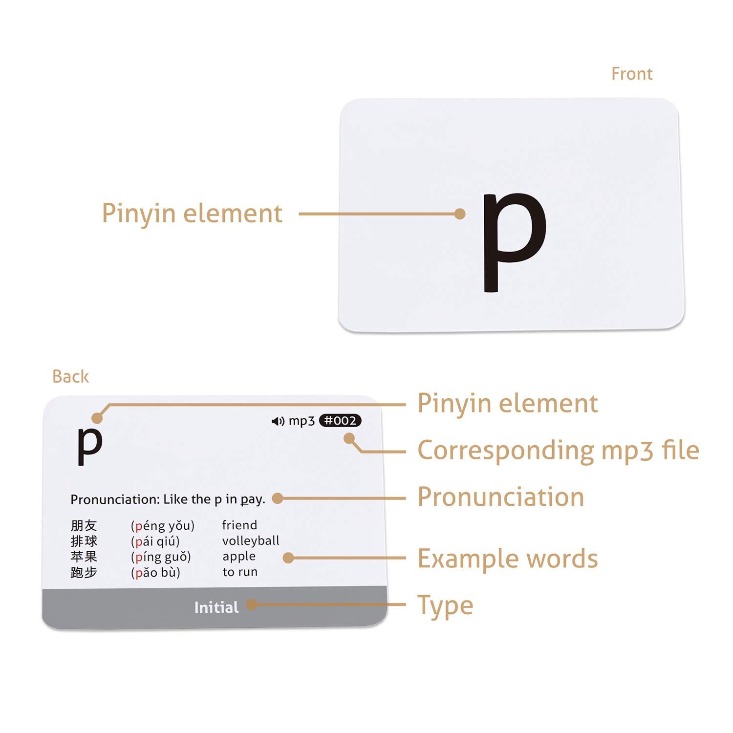CARDDIA Pinyin element card back presents pronunciation and possible combinations.