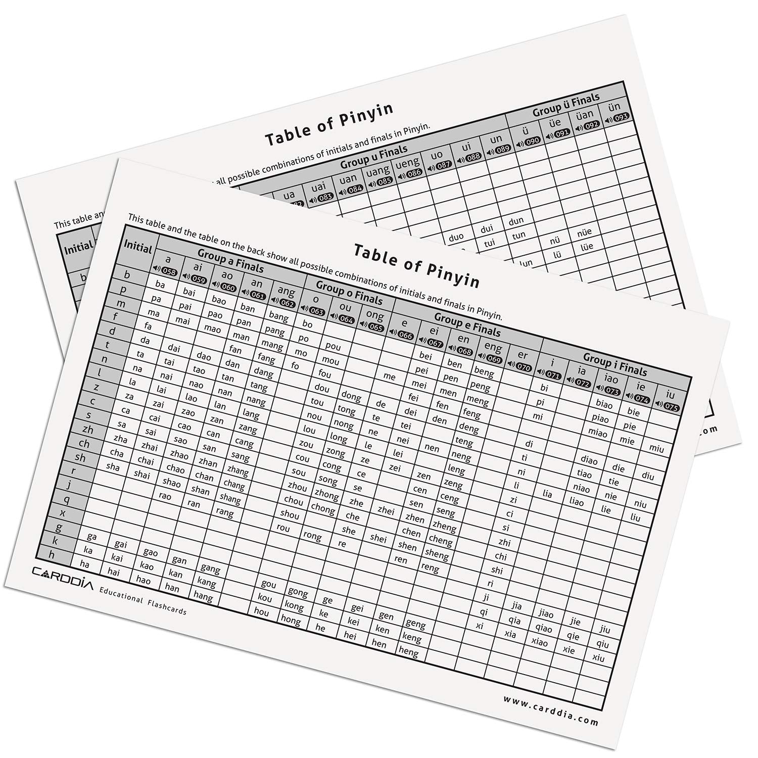 CARDDIA Pinyin element card front shows initial, final, and example usage.