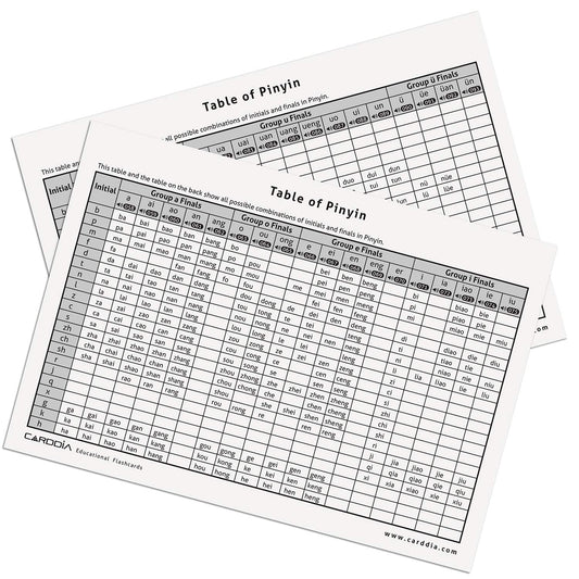 CARDDIA Pinyin element card front shows initial, final, and example usage.
