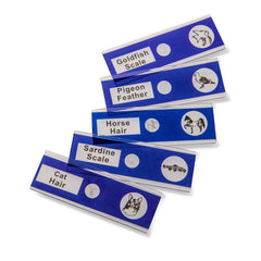 Carson MicroFlip educational tool supports learning for kids and students