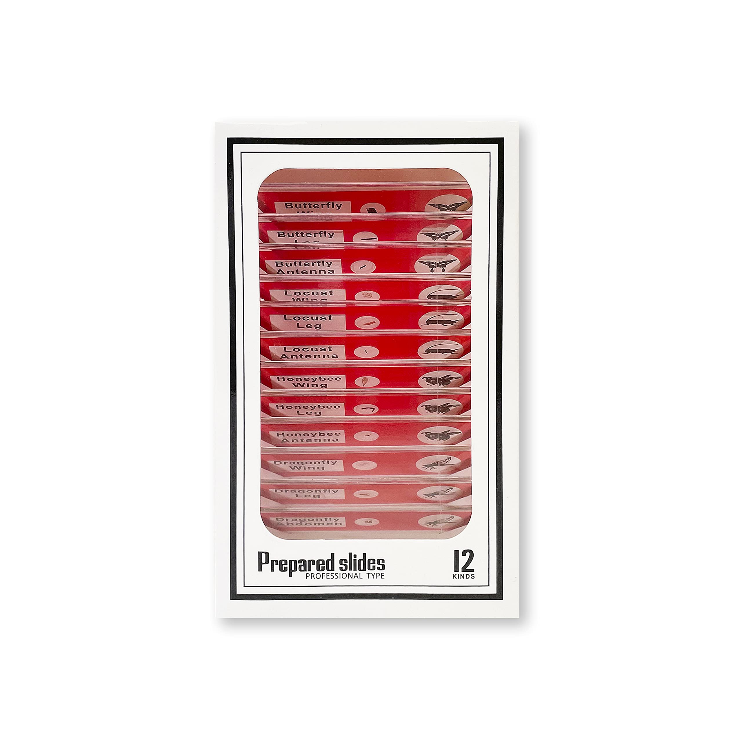 Carson MicroFlip insect slides for detailed arthropod study