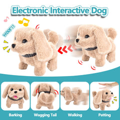 CASRRA vet play set with interactive dog engages storytelling and social skills.