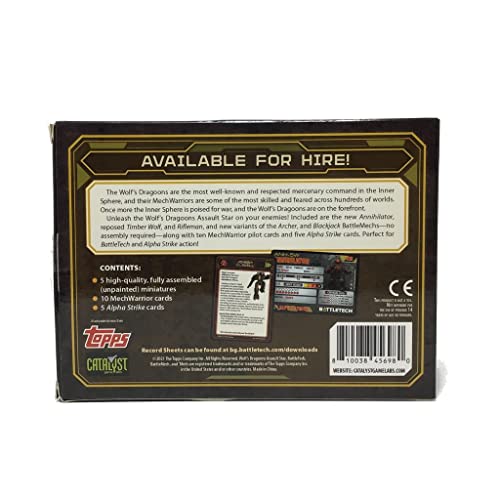 Catalyst Game Labs Wolfs Dragoons Rifleman model suitable for strategic skirmishes.