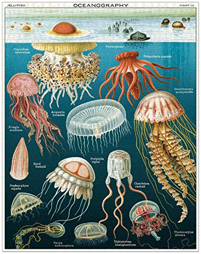 CAVANILLI & CO Jelly Fish illustration captures vintage marine art for a collectible puzzle.