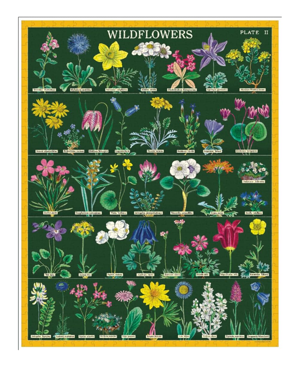 Cavallini & Co Vintage Wildflowers 2 puzzle assembled 1000 pieces ready for use.