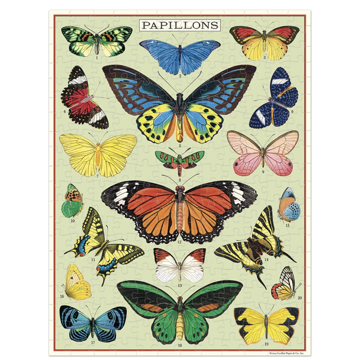 CAVANILLI & CO puzzle features a compact storage box for easy keeping.