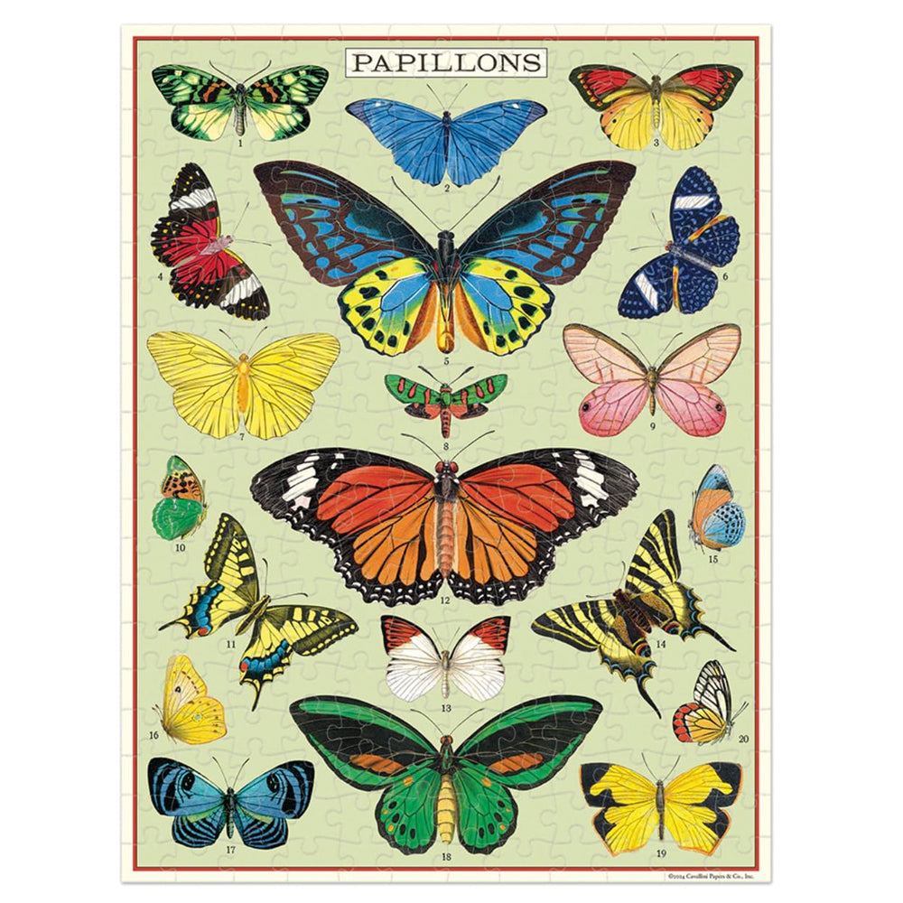 CAVANILLI & CO puzzle features a compact storage box for easy keeping.
