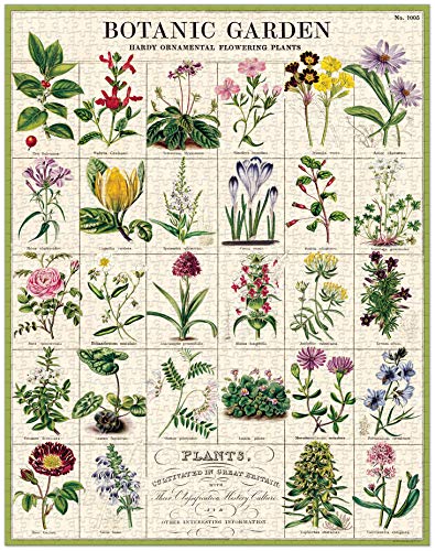 CAVANILLI & CO Botanic Garden engraving detail 1 featuring botanical vignettes for artful study.