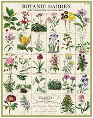 CAVANILLI & CO Botanic Garden engraving detail 1 featuring botanical vignettes for artful study.
