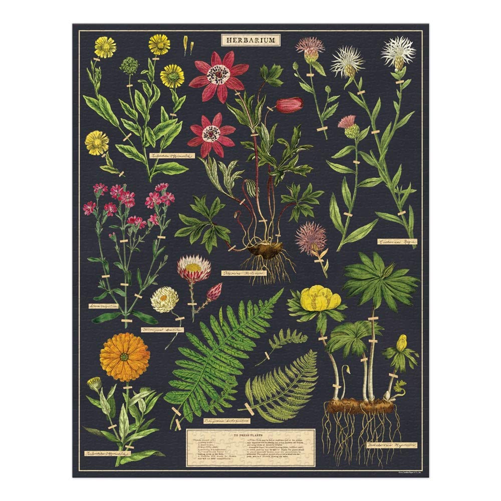 CAVANILLI & CO Herbarium puzzle cover art featuring vintage botanical illustrations for focused, relaxing evenings.