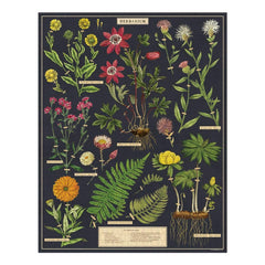 CAVANILLI & CO Herbarium puzzle cover art featuring vintage botanical illustrations for focused, relaxing evenings.