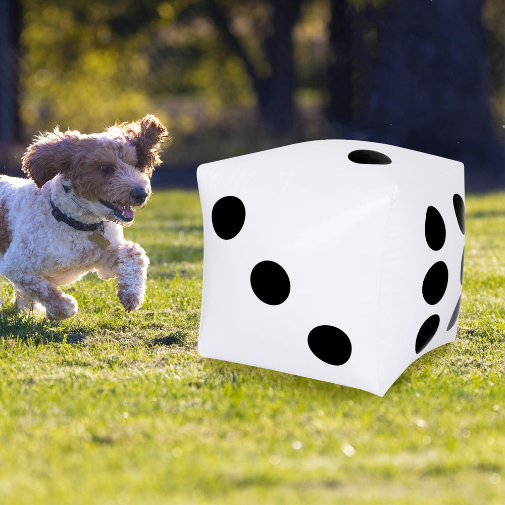 CCINEE inflatable dice used in outdoor party games