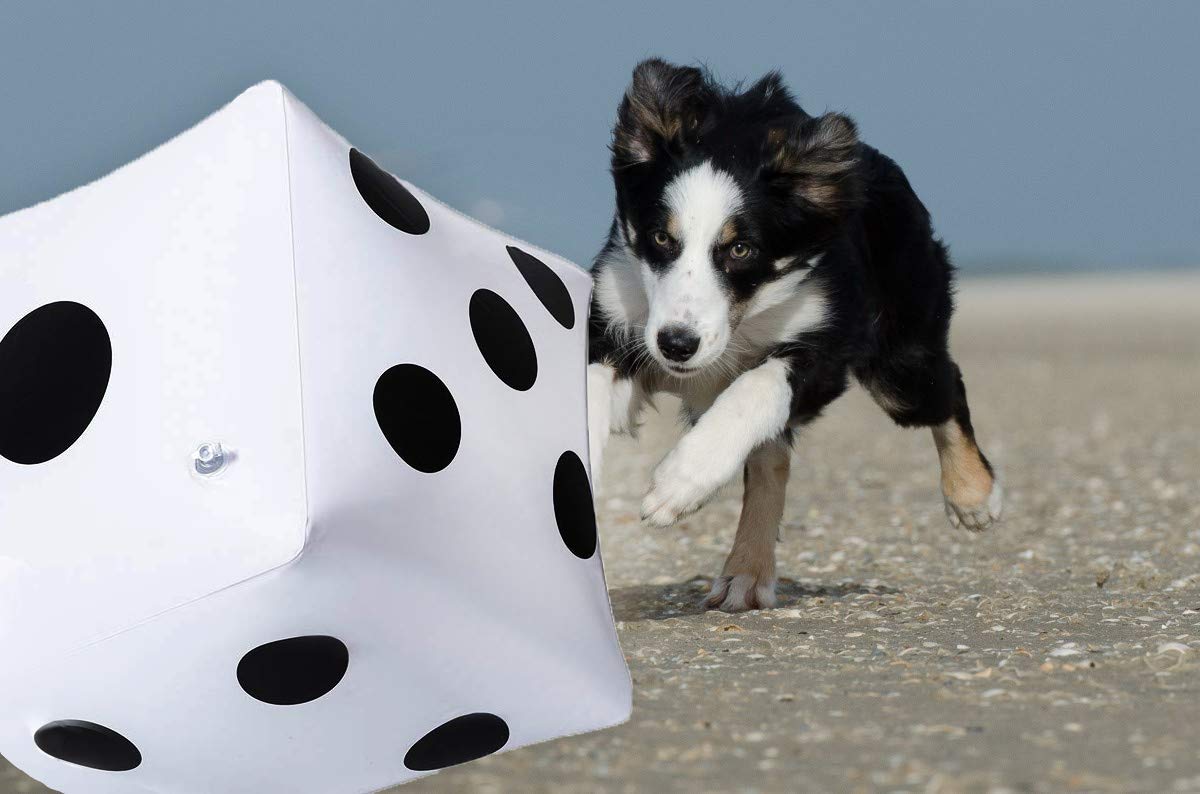 CCINEE jumbo PVC dice material showing durability