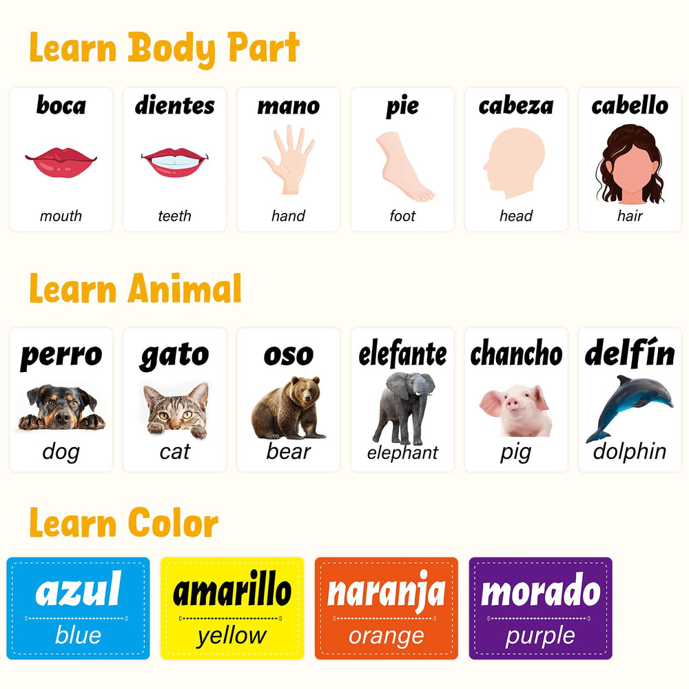Ceiba Tree flash cards support bilingual learning and pronunciation practice