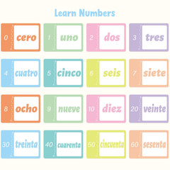 Ceiba Tree flash cards include irregular verb conjugation phrases
