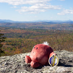 Celestial Buddies Mars Buddy washable fabric allows easy cleaning after adventures.