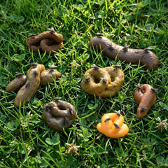 Chivao fake poo detail finish resists fading for long-lasting play.
