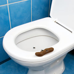 Chivao fake poo style 3 with natural coloring for convincing tricks.