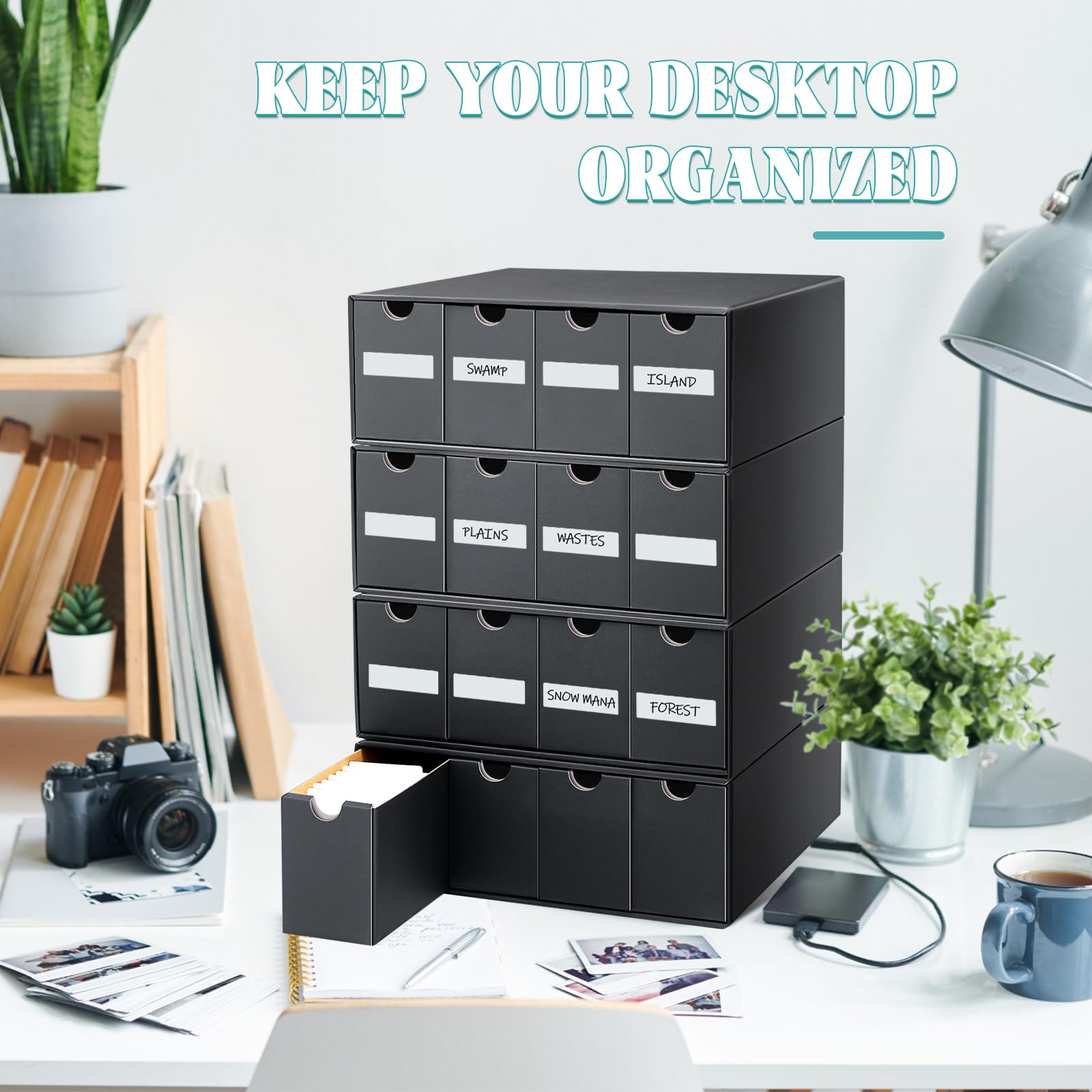 Cholemy storage fits 2.5 x 3.5 inch cards like sports cards.