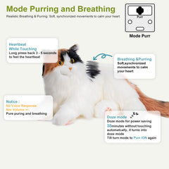 Chongker dark calico cat purring simulation for cozy moments