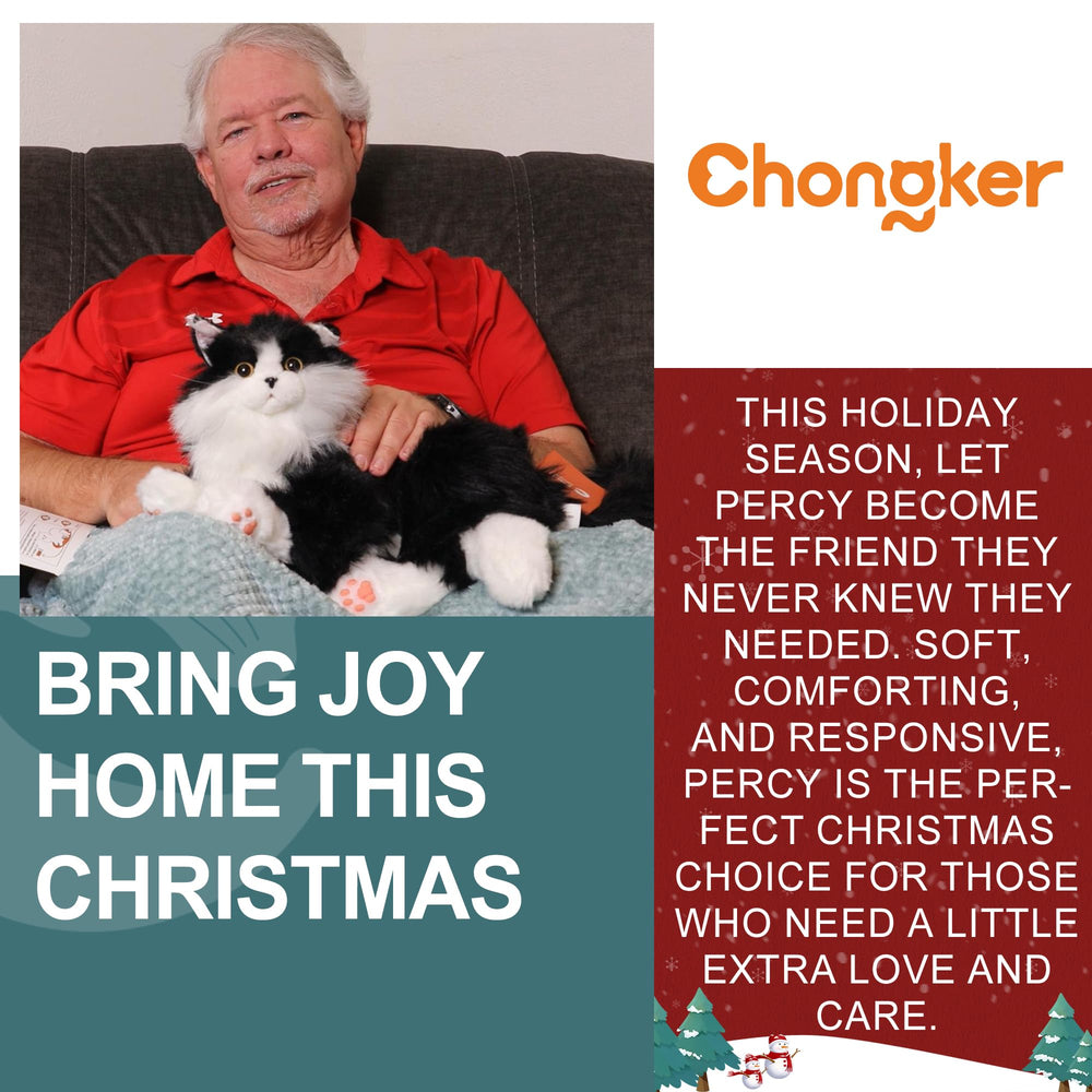 Chongker robot-cat charging pocket with battery access