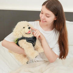 Chongker Shiba Inu plush gift box presentation with greeting card.