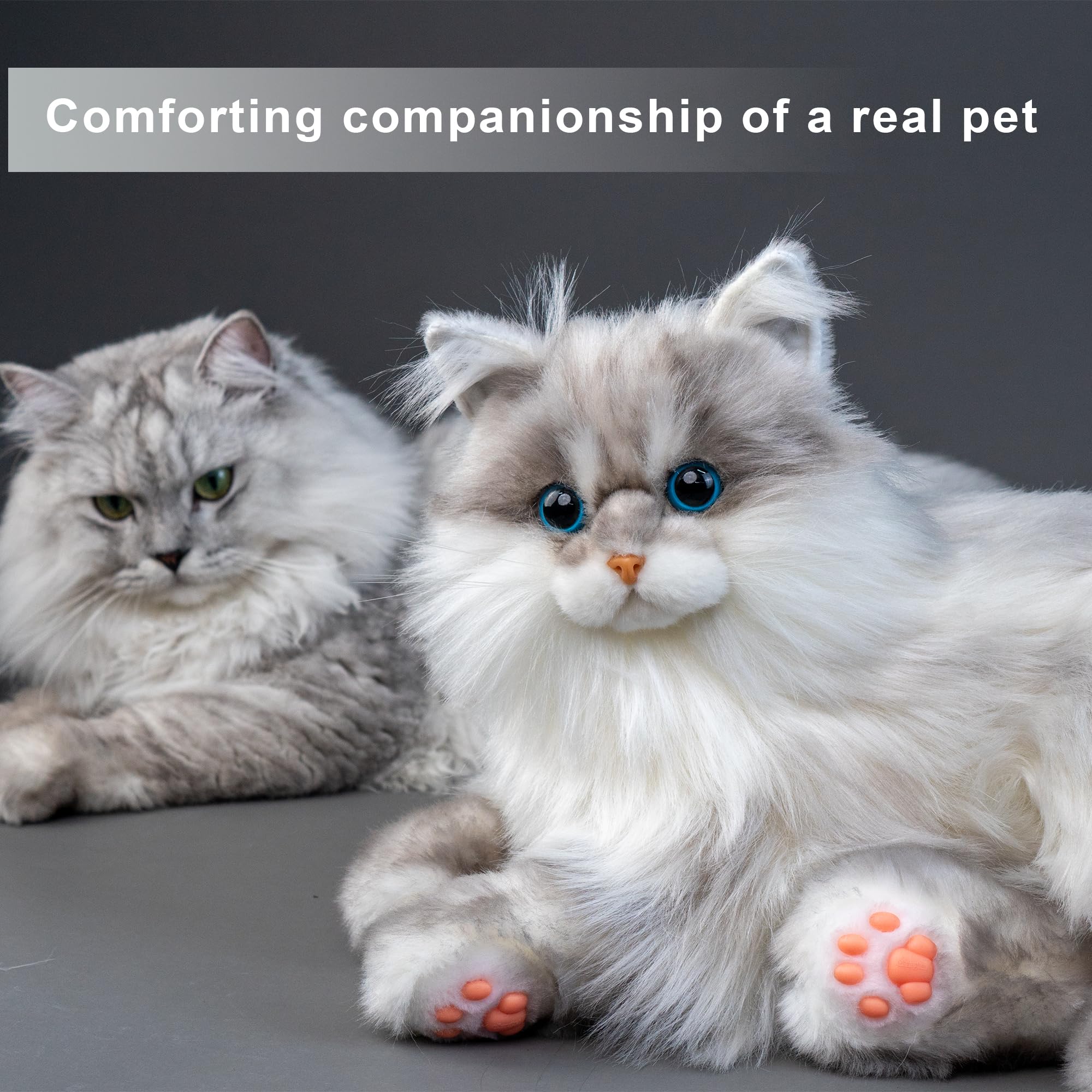 Chongker weighted cat plush arrives with a comb and premium packaging