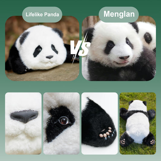 Chongker MengLan panda in a hugging pose for cozy companionship