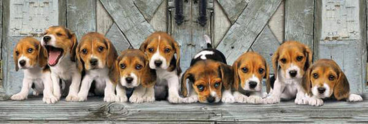 Clementoni Beagles panorama puzzle close-up of puppies with vibrant contrast