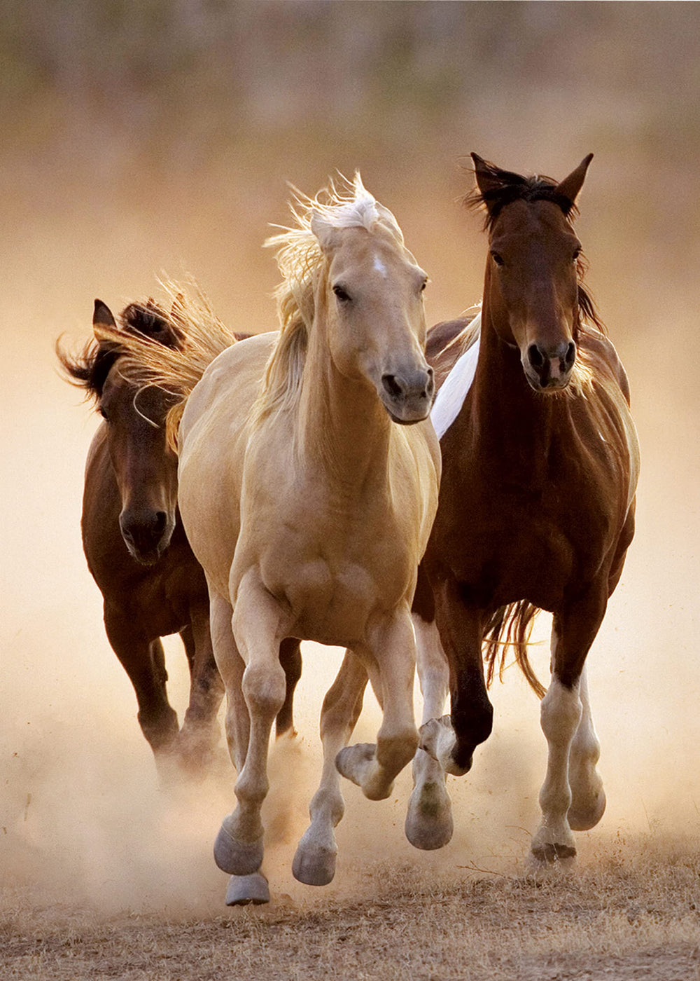 Clementoni Running Horses Puzzle closeup colors highlights the rich palette for immersive viewing.