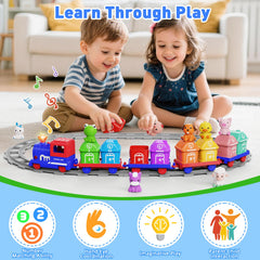 Cmiolacuna train wagons for counting and sorting activities