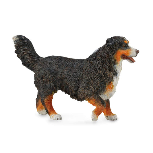 CollectA Bernese Mountain Dog toy front view; durable vinyl miniature for pretend play.