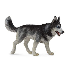 Collect A Siberian Husky toy figure front view with detailed painting for educational play and display.