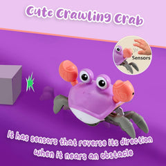 Control Future purple crab toy with music and lights to captivate babies during play.