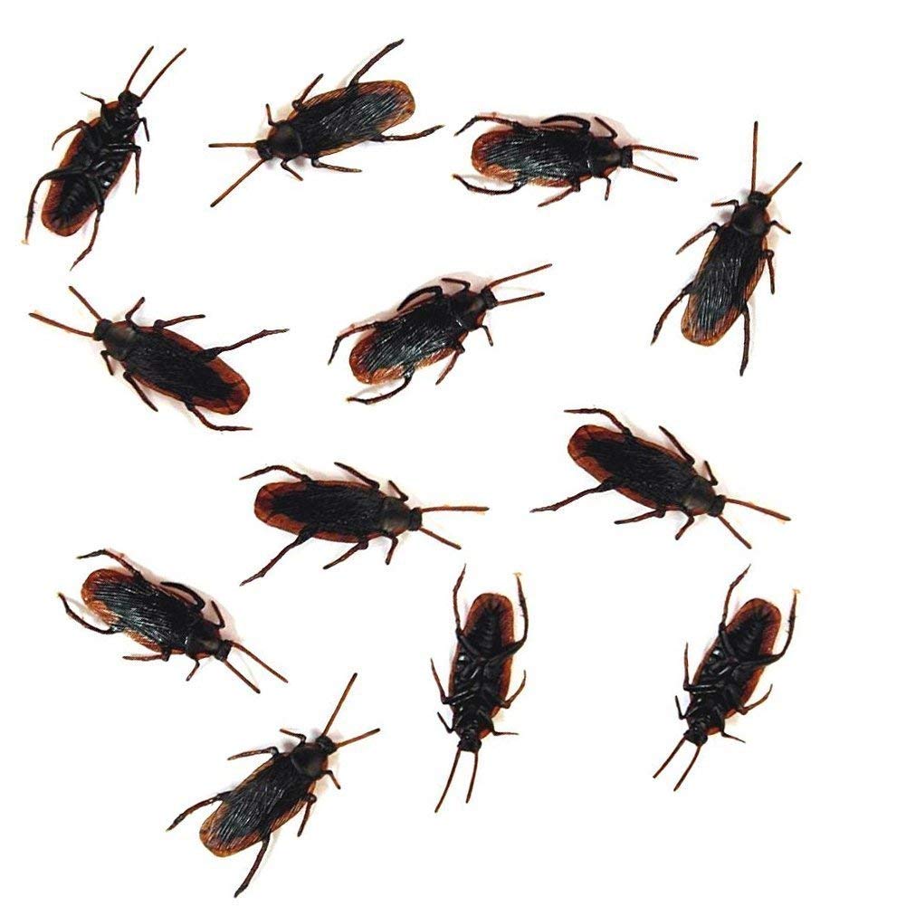 Cooplay fake cockroaches for Halloween prank with a realistic look