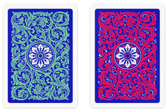 Copag Neoteric 1546 hard plastic case keeps decks protected during travel.