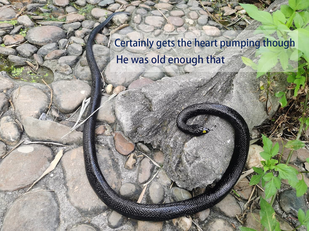 COTOSEY 53inch snake size complements prank scenes