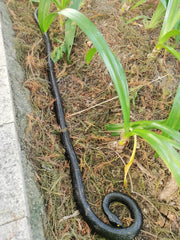 COTOSEY rubber snake easy-to-use prop for photos