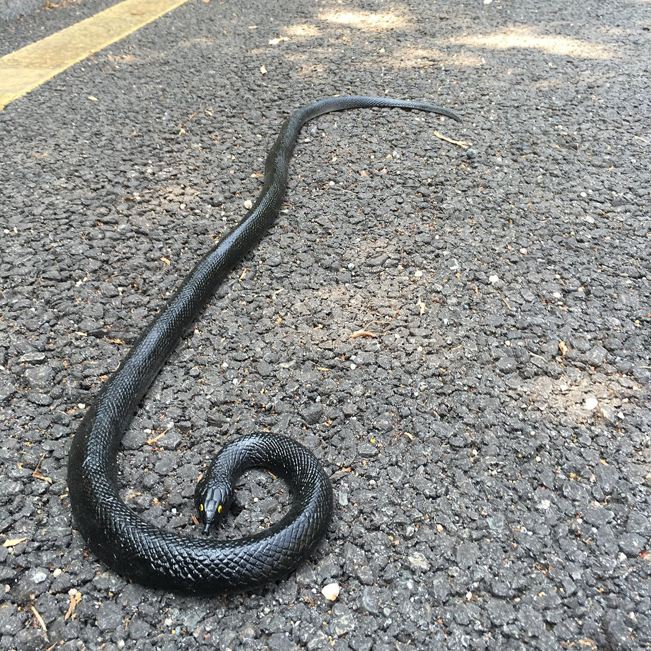 COTOSEY rubber snake soft texture close-up for props