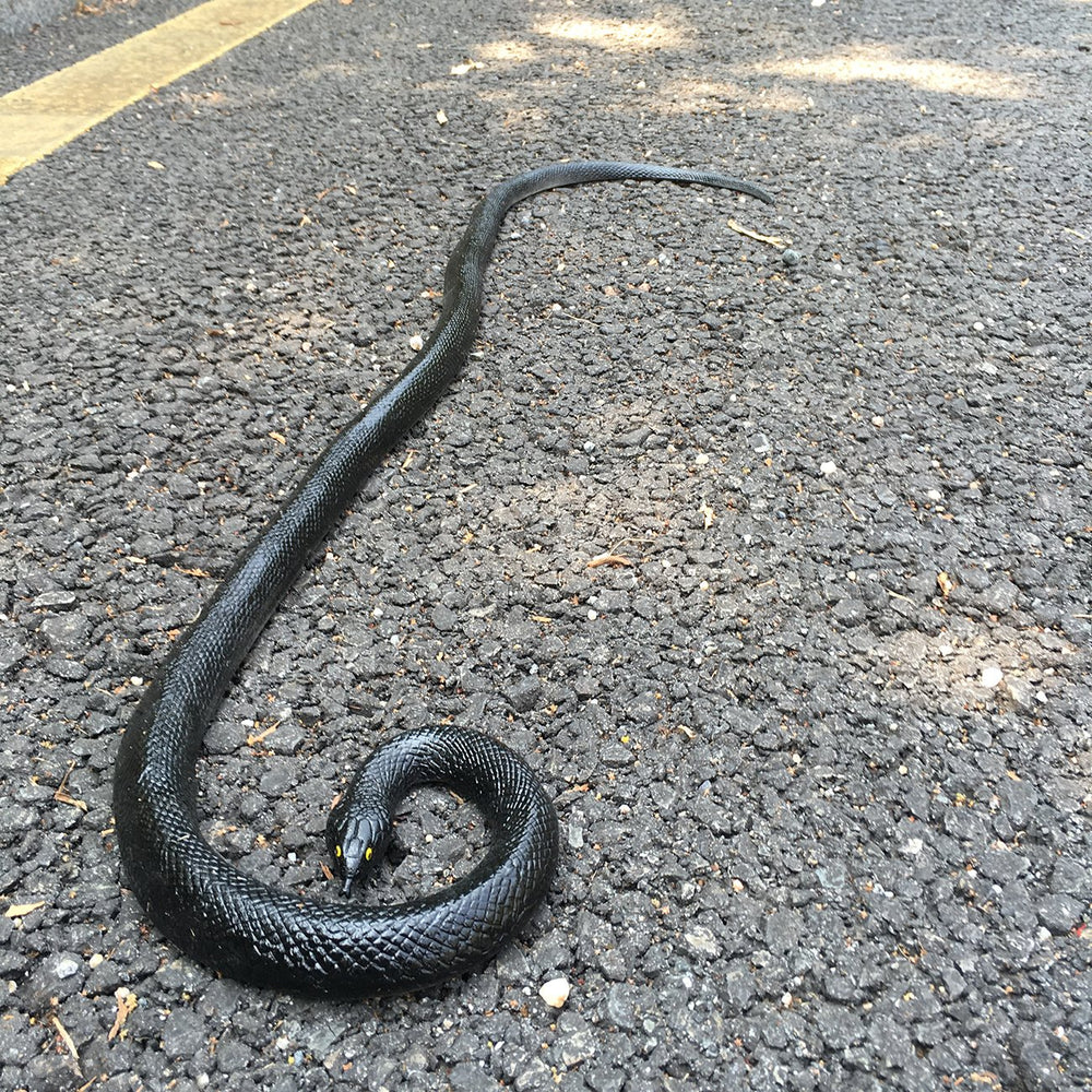 COTOSEY rubber snake soft texture close-up for props