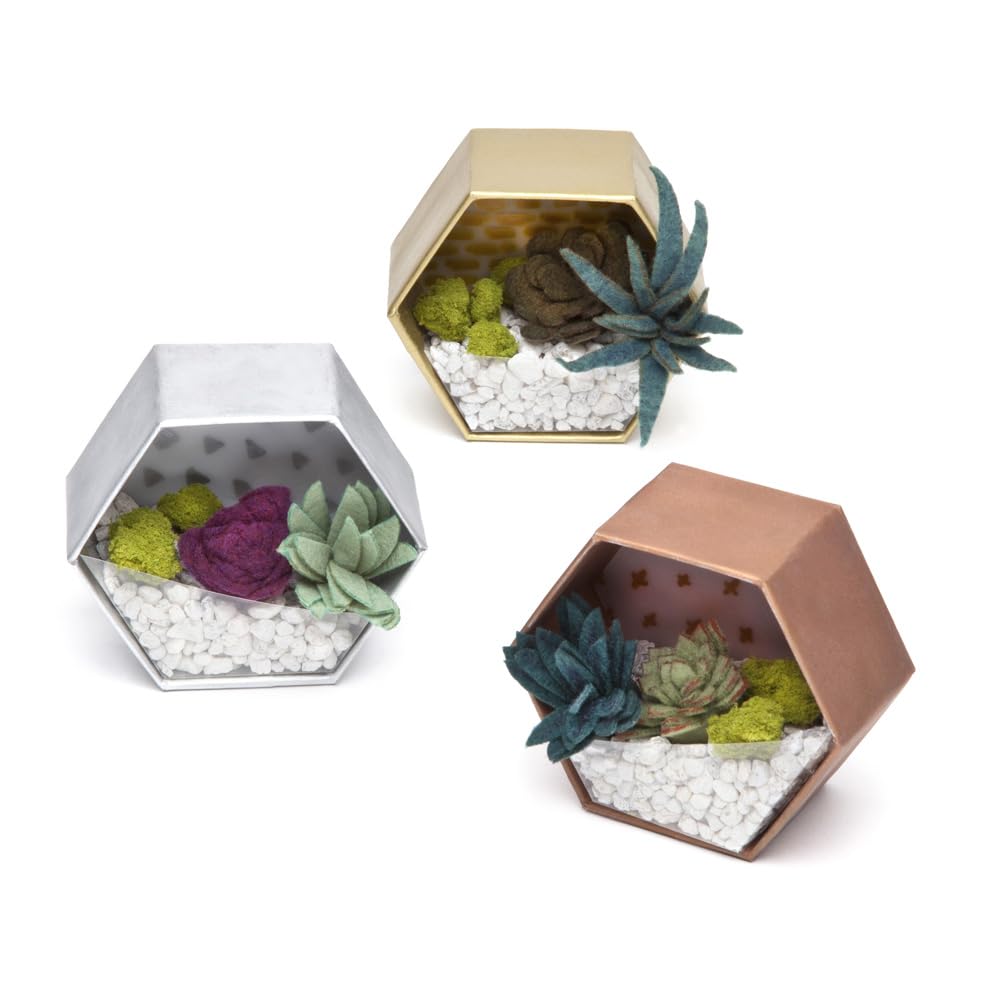Craft Crush felt succulents roll adds color without watering.