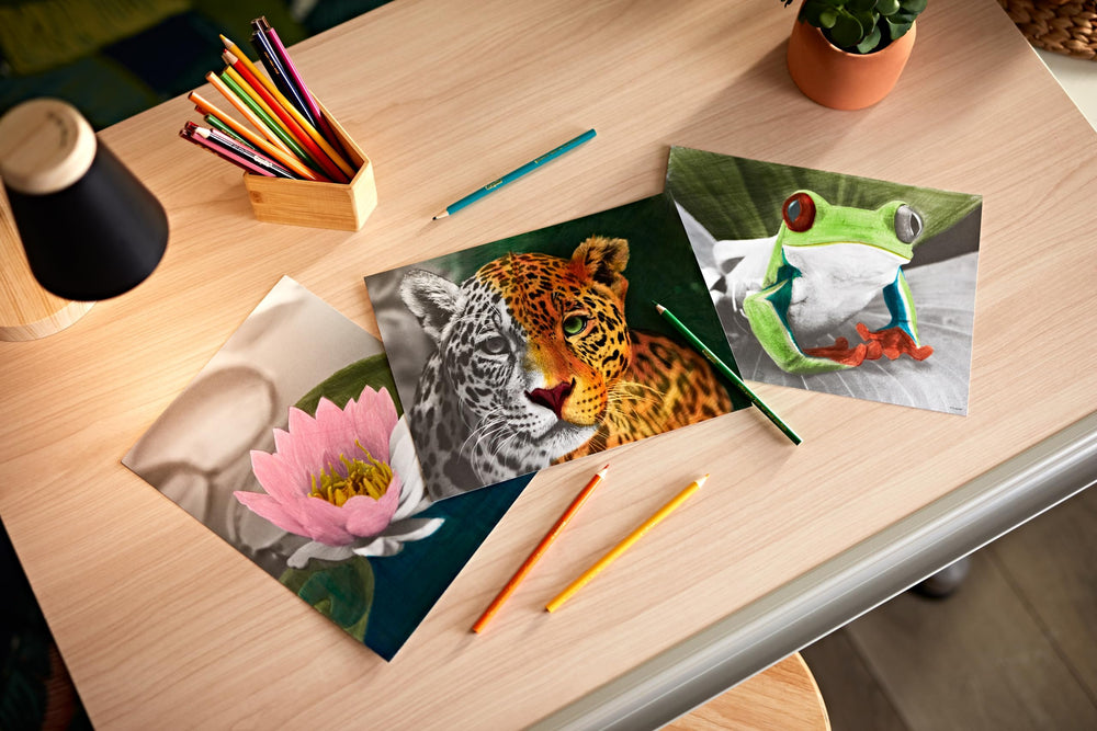 Crayola HD Coloring Kit 20 pages designed for adult colorists.
