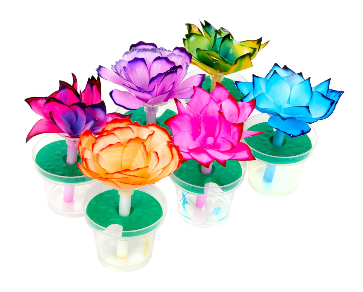 Crayola Paper Flower Kit – petal sheets ready for vibrant experimentation.