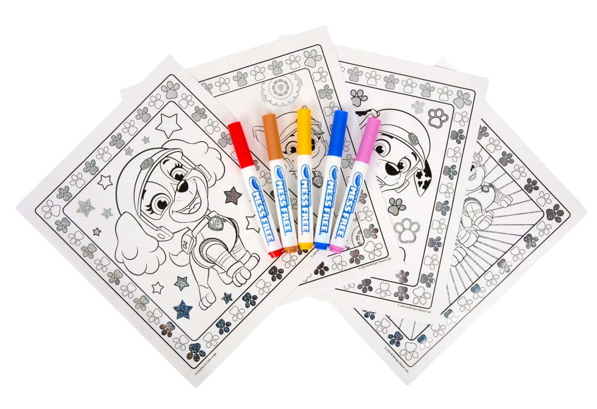 Crayola PAW Patrol metallic box set with colorful, organized storage