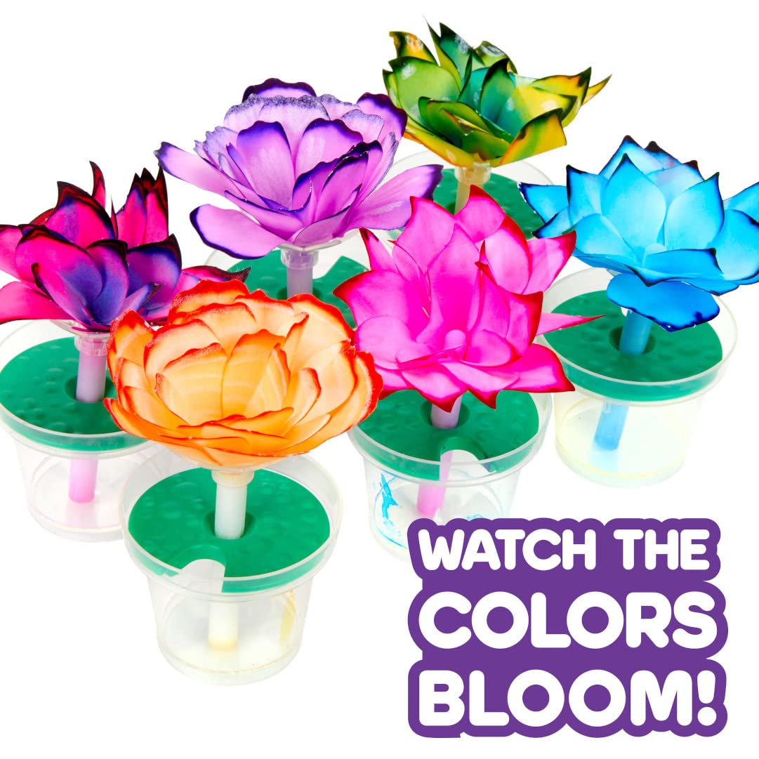 Crayola STEAM Kits – hands-on creative learning with color-changing blooms.