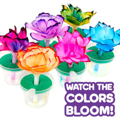 Crayola STEAM Kits – hands-on creative learning with color-changing blooms.